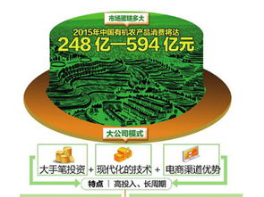 互联网养猪新观察 技术赋能下的产业动态与市场格局